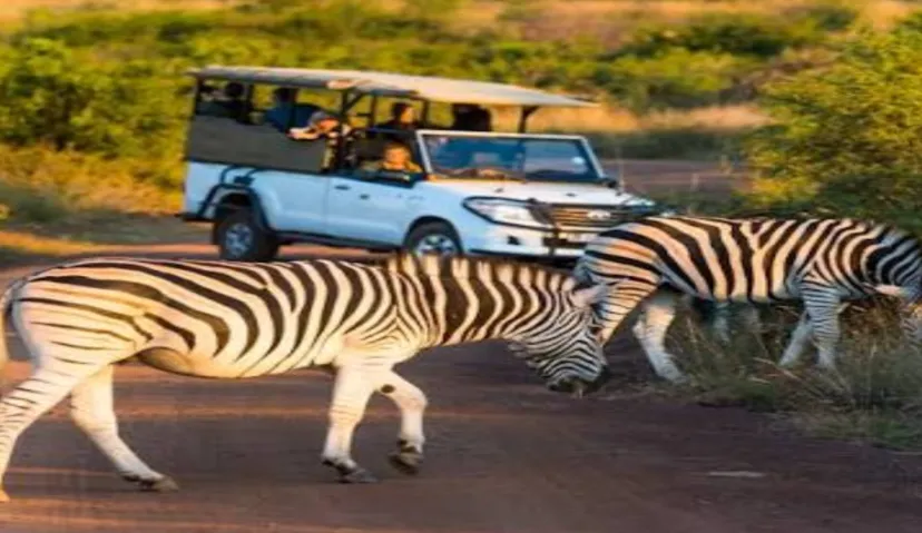 Pilanesberg National Park 1