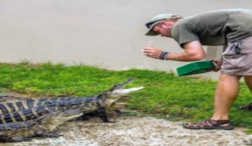 Crocodile Reptile Park 4